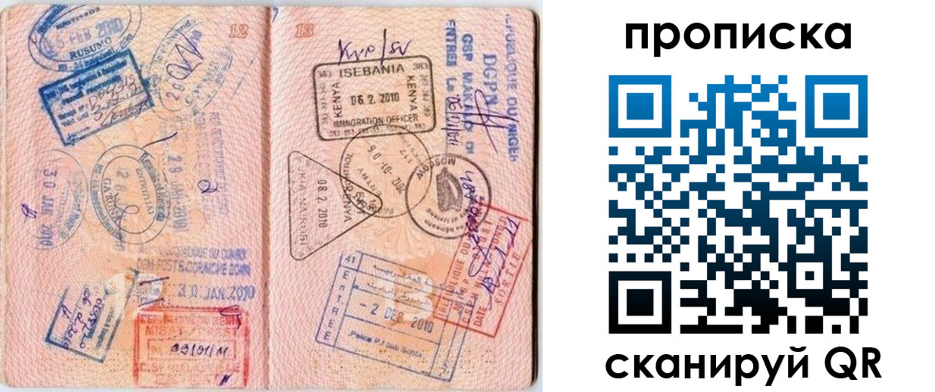 прописка для школы в Протвино